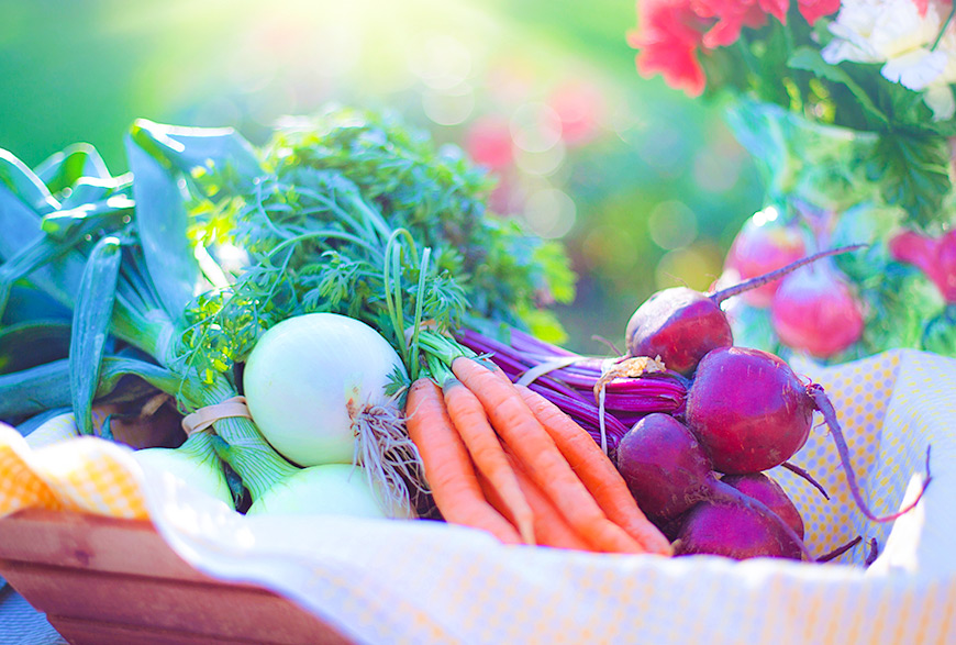 Nutritionist & Dietitian Kochi, Ernakulam Geriatric Nutrition