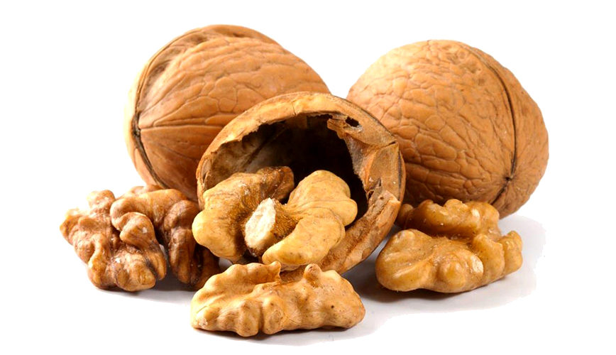Walnut for healthy heart BioDietz Nutrition