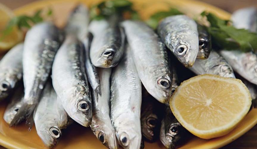 Blog Archives BioDietz Nutrition